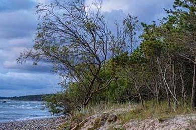 夢幻西游SF攻略大全,從新手到高手的全方位指南